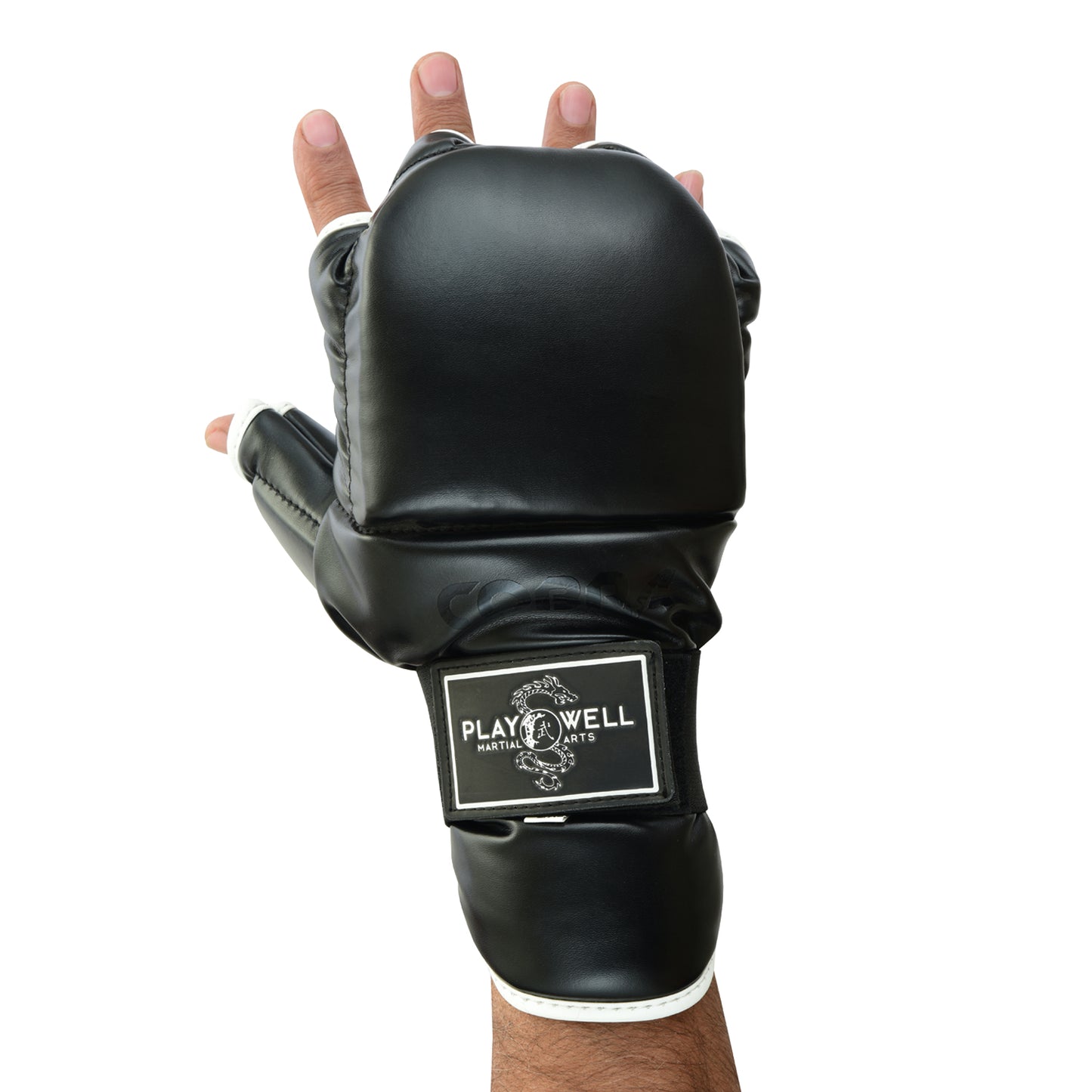 Kung Fu Cobra Grappling Sparring Gloves